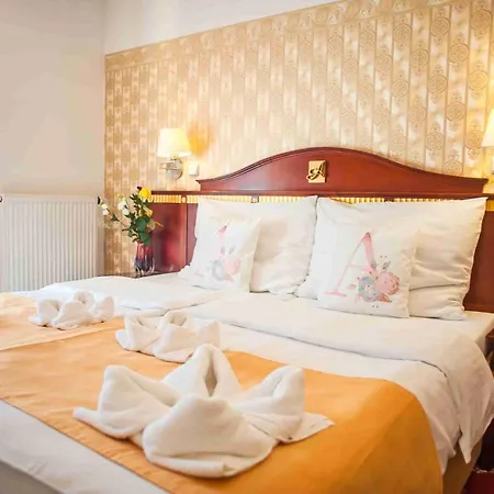 Otel Tommy Wellness & Náchod