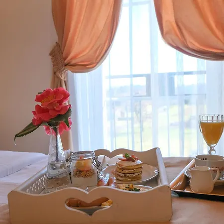 Tommy Wellness&spa Náchod