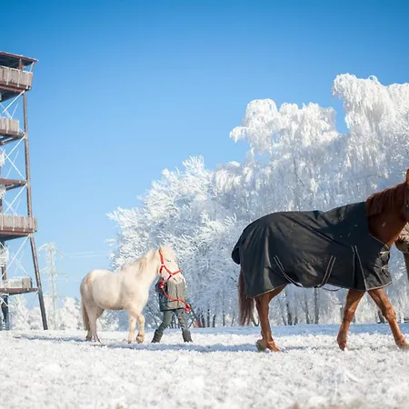 Tommy Wellness & 호텔 나호트