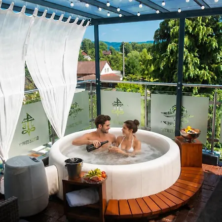 Hotel Tommy Wellness&spa 4*